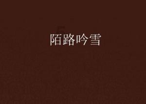 圣诞之夜对对碰