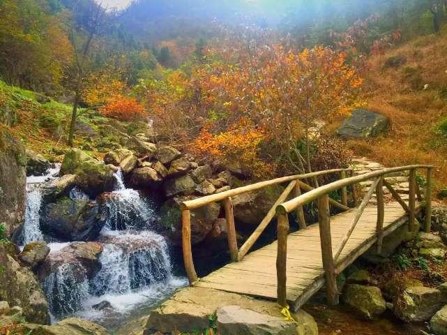 小腰带