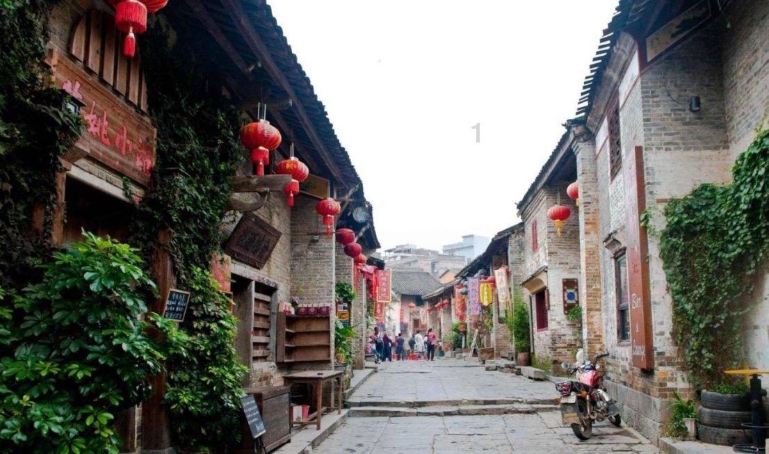 细胞分裂6
